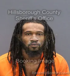 Mugshot of Devonte Demetrick Young booked in Hillsborough County, Florida on September 3, 2026