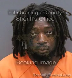 Mugshot of Shelumiel James Jr Monroe booked in Hillsborough County, Florida on September 3, 2026
