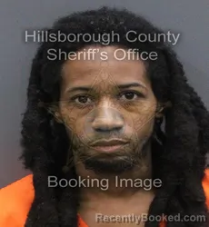 Mugshot of Edward Williams booked in Hillsborough County, Florida on September 3, 2026