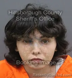Mugshot of Petra Lobreisova booked in Hillsborough County, Florida on September 3, 2026