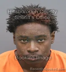 Mugshot of Deneik Jayquan Harris booked in Hillsborough County, Florida on September 3, 2026