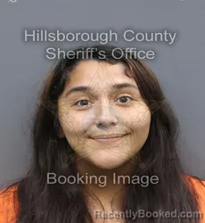Mugshot of Ana Luisa Tavares booked in Hillsborough County, Florida on September 3, 2026