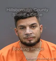 Mugshot of ROBERTO GONZALES ALFONSO