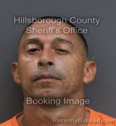 Mugshot of Guillermo Mestre Pompa booked in Hillsborough County, Florida on September 4, 2026