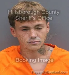 Mugshot of David Michael Marvulli-Fernandez booked in Hillsborough County, Florida on September 4, 2026