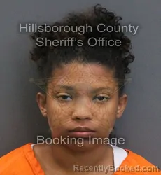 Mugshot of Armani Zyanna Bellamy booked in Hillsborough County, Florida on September 4, 2026