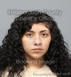 Mugshot of Nancimarie Ortiz Vega booked in Hillsborough County, Florida on September 4, 2026