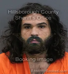Mugshot of Sebastian Pino booked in Hillsborough County, Florida on September 4, 2026