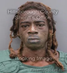Booking photo from Hillsborough County, Florida