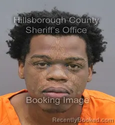 Mugshot of Mike Lee Thornton booked in Hillsborough County, Florida on September 5, 2026