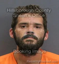 Mugshot of Ian Vincent Perricone booked in Hillsborough County, Florida on September 5, 2026
