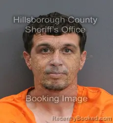 Mugshot of Anthony Michael Fowler booked in Hillsborough County, Florida on September 5, 2026
