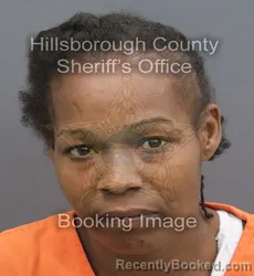 Mugshot of Rejina Torres booked in Hillsborough County, Florida on September 5, 2026