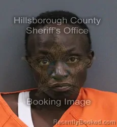 Mugshot of Lakisha Darthula Nichols booked in Hillsborough County, Florida on September 5, 2026