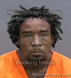 Mugshot of Michael Demetris Lewis booked in Hillsborough County, Florida on September 5, 2026