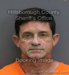 Mugshot of David Roman booked in Hillsborough County, Florida on September 5, 2026