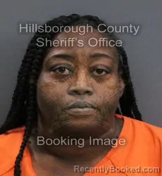 Mugshot of Shemeka Danyl Blaine booked in Hillsborough County, Florida on September 5, 2026