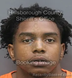 Mugshot of Ja'Sean Roosevelt Mitchell booked in Hillsborough County, Florida on September 5, 2026