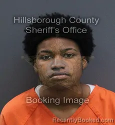 Mugshot of Alana Elise Bennett booked in Hillsborough County, Florida on September 5, 2026