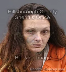Booking photo from Hillsborough County, Florida