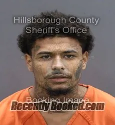 Booking photo from Hillsborough County, Florida