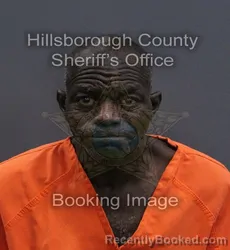Mugshot of Richard Wilson Jr Owens booked in Hillsborough County, Florida on September 6, 2026