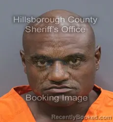Mugshot of Hashim Saeed Wimbley booked in Hillsborough County, Florida on September 6, 2026
