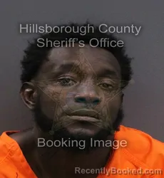 Mugshot of Dontario J Stephens booked in Hillsborough County, Florida on September 6, 2026