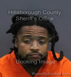 Mugshot of Eric Donzell Jackson booked in Hillsborough County, Florida on September 6, 2026