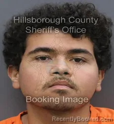 Mugshot of Reyad Ali Abdou Ali Elheitmy booked in Hillsborough County, Florida on September 6, 2026