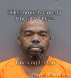 Booking photo from Hillsborough County, Florida