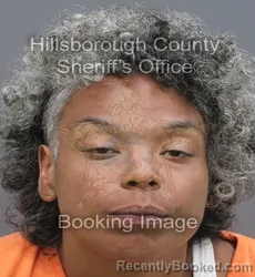 Mugshot of Gloriann Mary Vazquez booked in Hillsborough County, Florida on September 6, 2026