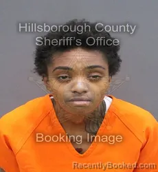 Mugshot of Iliyah N Anderson booked in Hillsborough County, Florida on September 6, 2026