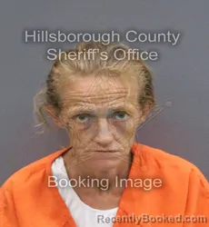 Mugshot of Tiffany Nicole Clark booked in Hillsborough County, Florida on September 6, 2026