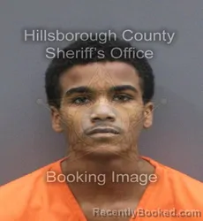 Mugshot of Marcus Kinte Jr Williams booked in Hillsborough County, Florida on September 6, 2026