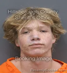 Mugshot of Tyler Joseph Moudy booked in Hillsborough County, Florida on September 6, 2026