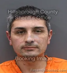 Mugshot of DANIEL ANDRES TORRES