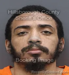 Mugshot of Resha Ty Freelove booked in Hillsborough County, Florida on September 6, 2026