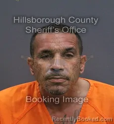 Mugshot of Matthew Erick Geneux booked in Hillsborough County, Florida on September 6, 2026