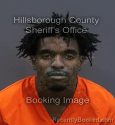 Mugshot of Alexander Omari Peake booked in Hillsborough County, Florida on September 6, 2026