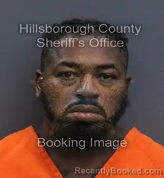 Mugshot of Remy Justin Cotard booked in Hillsborough County, Florida on September 6, 2026