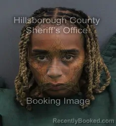 Mugshot of Lauren Ashley Williams booked in Hillsborough County, Florida on September 6, 2026