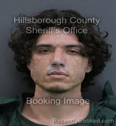 Mugshot of Joshua Lincoln Bunts booked in Hillsborough County, Florida on September 6, 2026