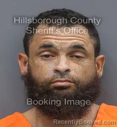 Mugshot of Matthew Alan Powell booked in Hillsborough County, Florida on September 6, 2026