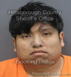 Mugshot of Lorenzo Juarez Vasquez booked in Hillsborough County, Florida on September 6, 2026