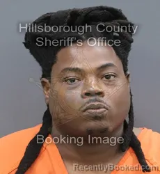 Mugshot of Walenson Eveillard booked in Hillsborough County, Florida on September 6, 2026