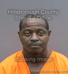 Booking photo from Hillsborough County, Florida
