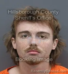 Mugshot of Kohen Russell Finger booked in Hillsborough County, Florida on September 6, 2026