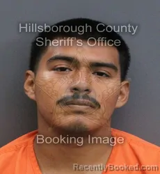 Mugshot of Nacxil Rosales Crispin booked in Hillsborough County, Florida on September 6, 2026