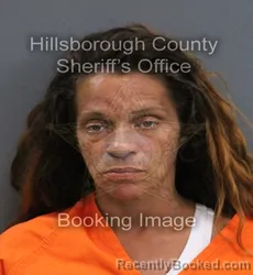 Mugshot of Victoria Josefa Brito booked in Hillsborough County, Florida on September 6, 2026